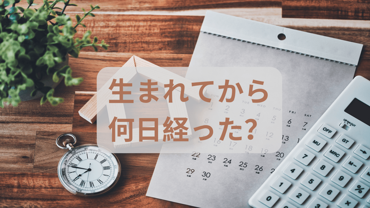 生まれてから何日経った？