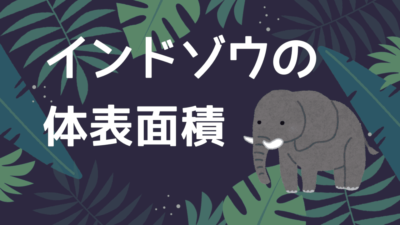 【シュリクマー関数】インドゾウの体表面積計算アプリ